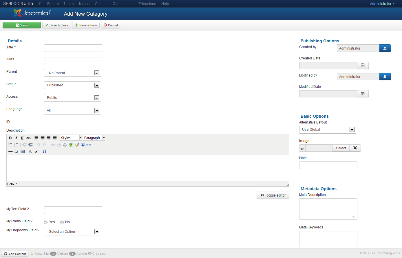 category_form_after_adding_3_custom_fields category_form_after_adding_3_custom_fields