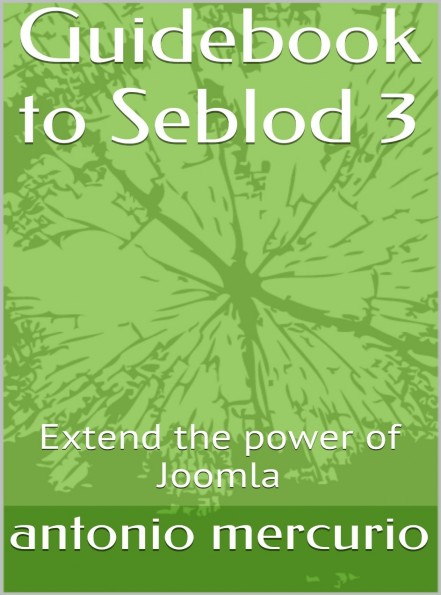 Guidebook to Seblod 3