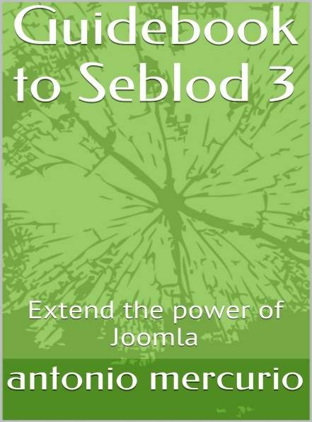 Guidebook to Seblod 3