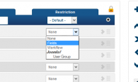 restriction-fields-setting